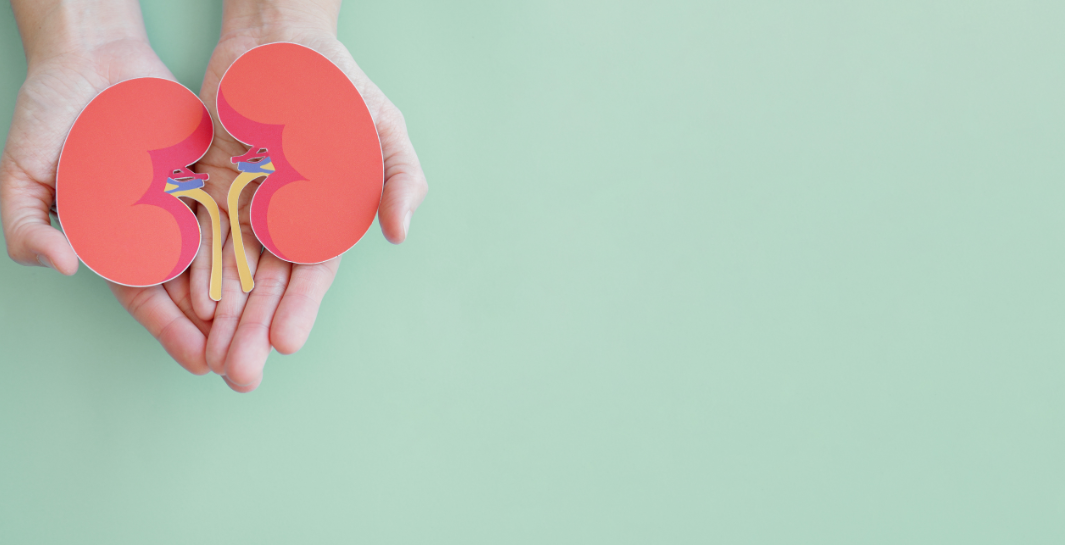 10-2 Dan Kidney Story Img