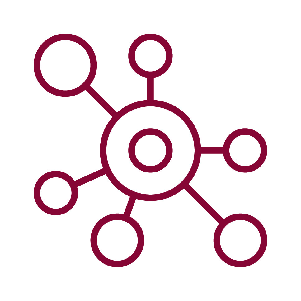 CT-Brochure_Wellness-Icon