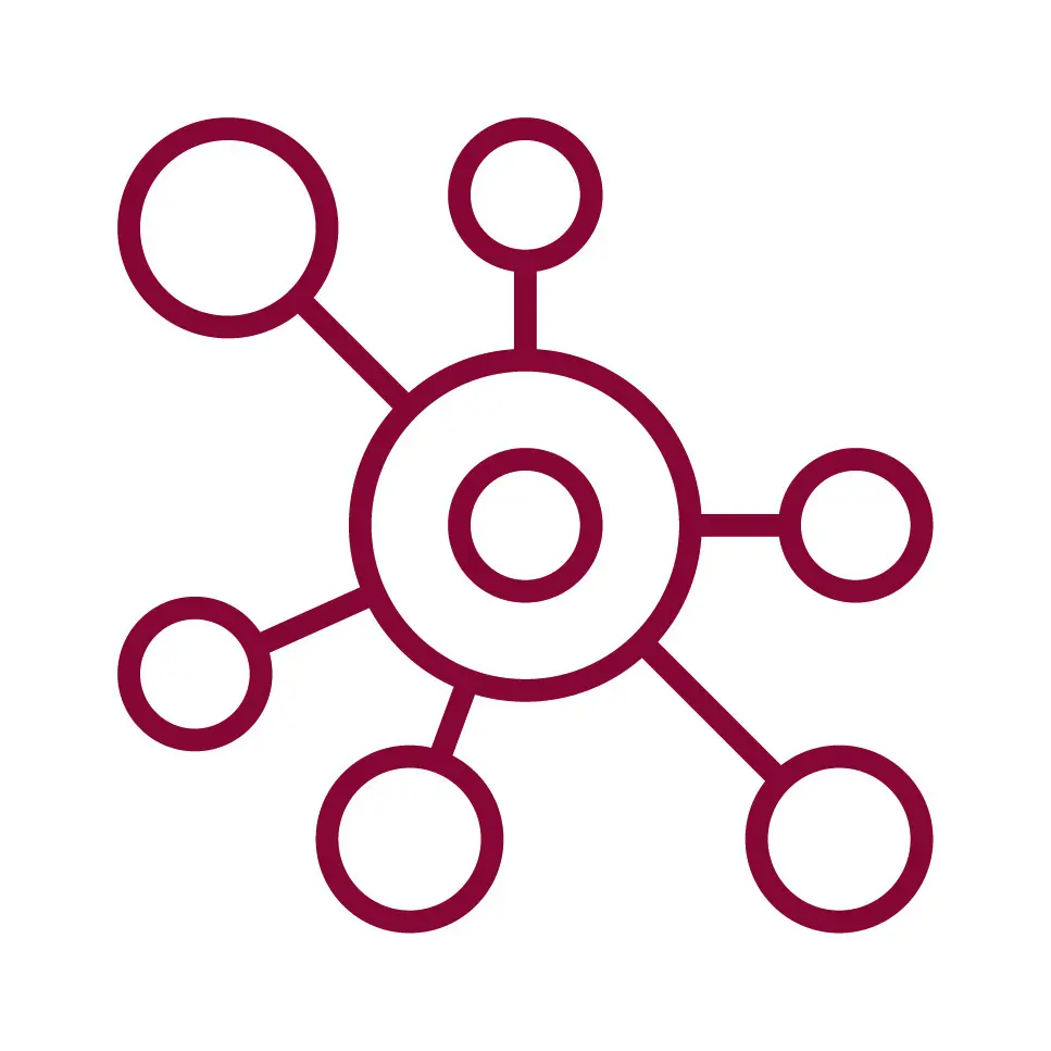 CT-Brochure_Wellness-Icon