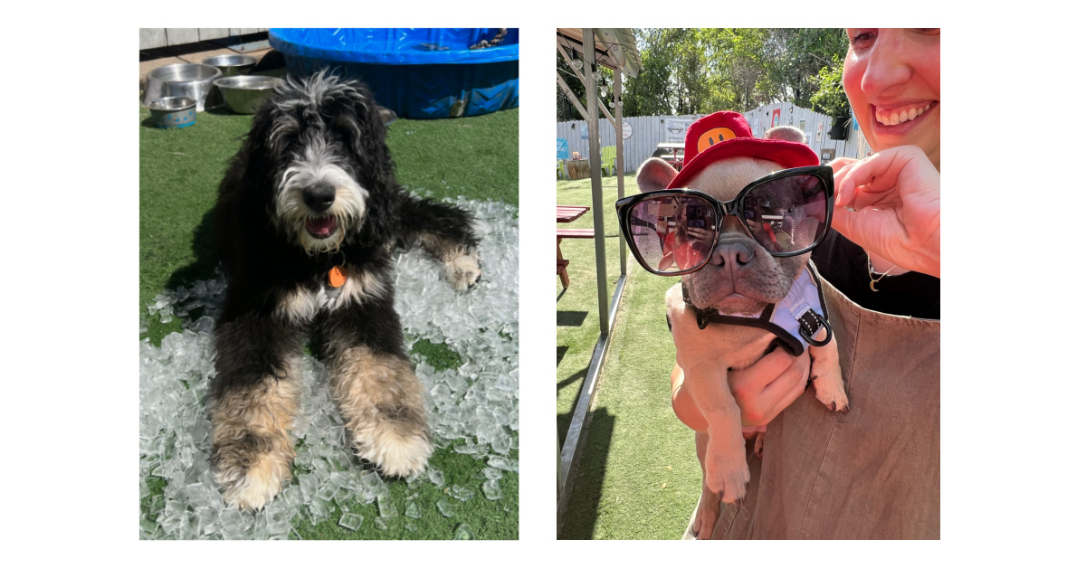 Home Care in Denver CO