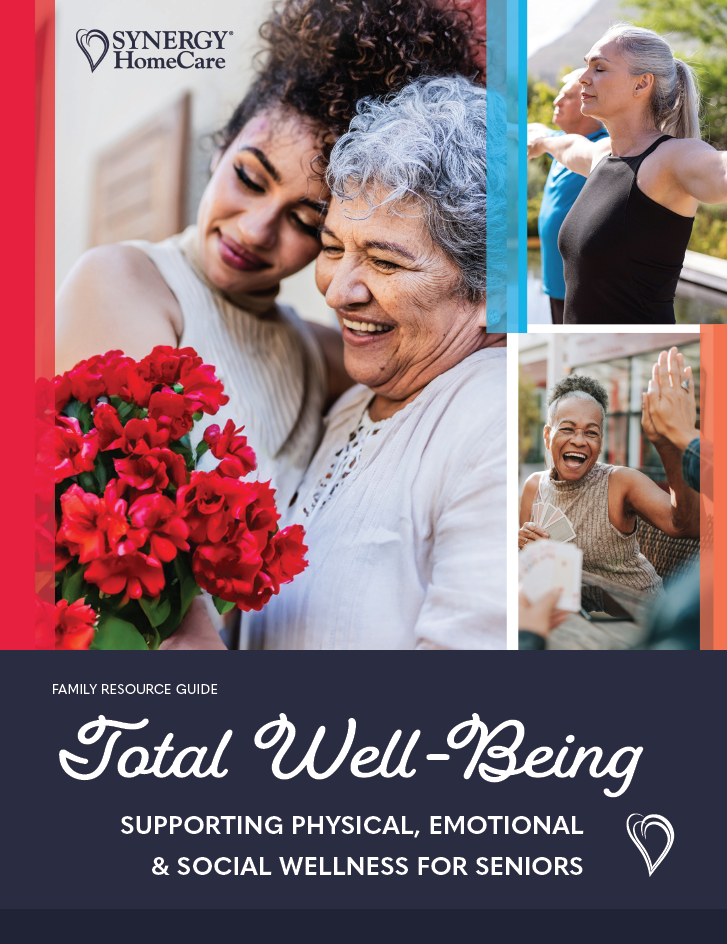 SYNERGY HomeCare Navigating the Well-Being Guide Cover