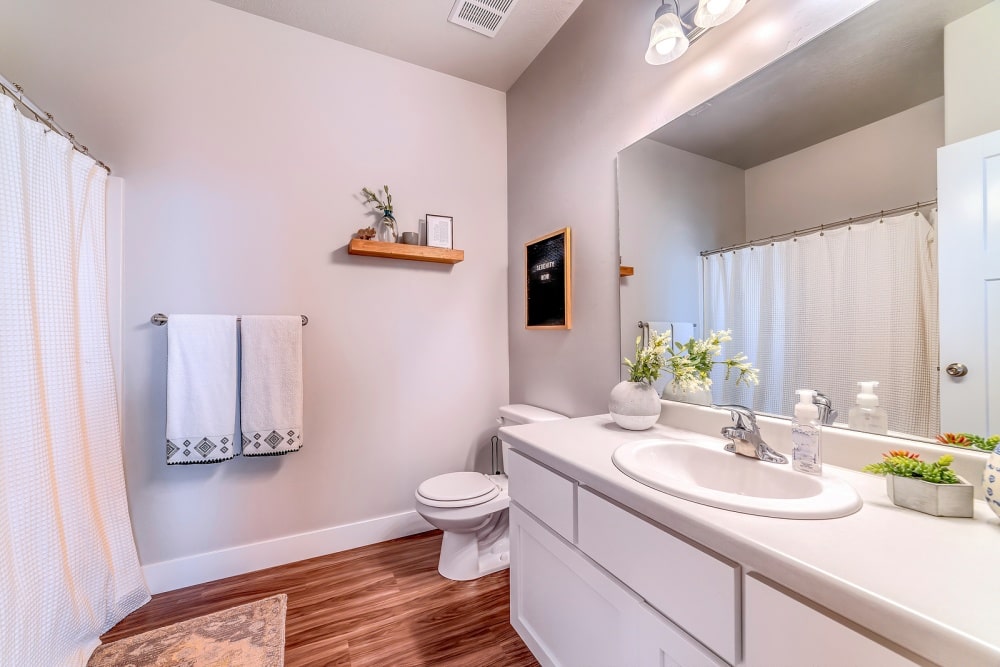 bathroom fall risks for seniors