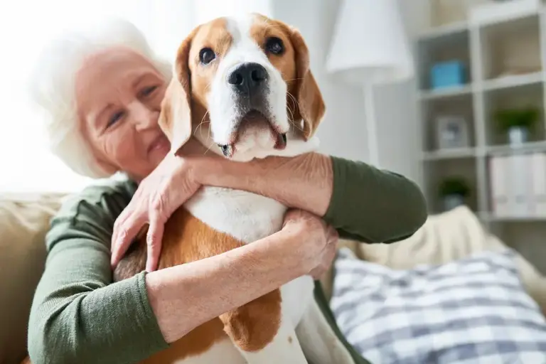 In-Home Care in Larkspur CO