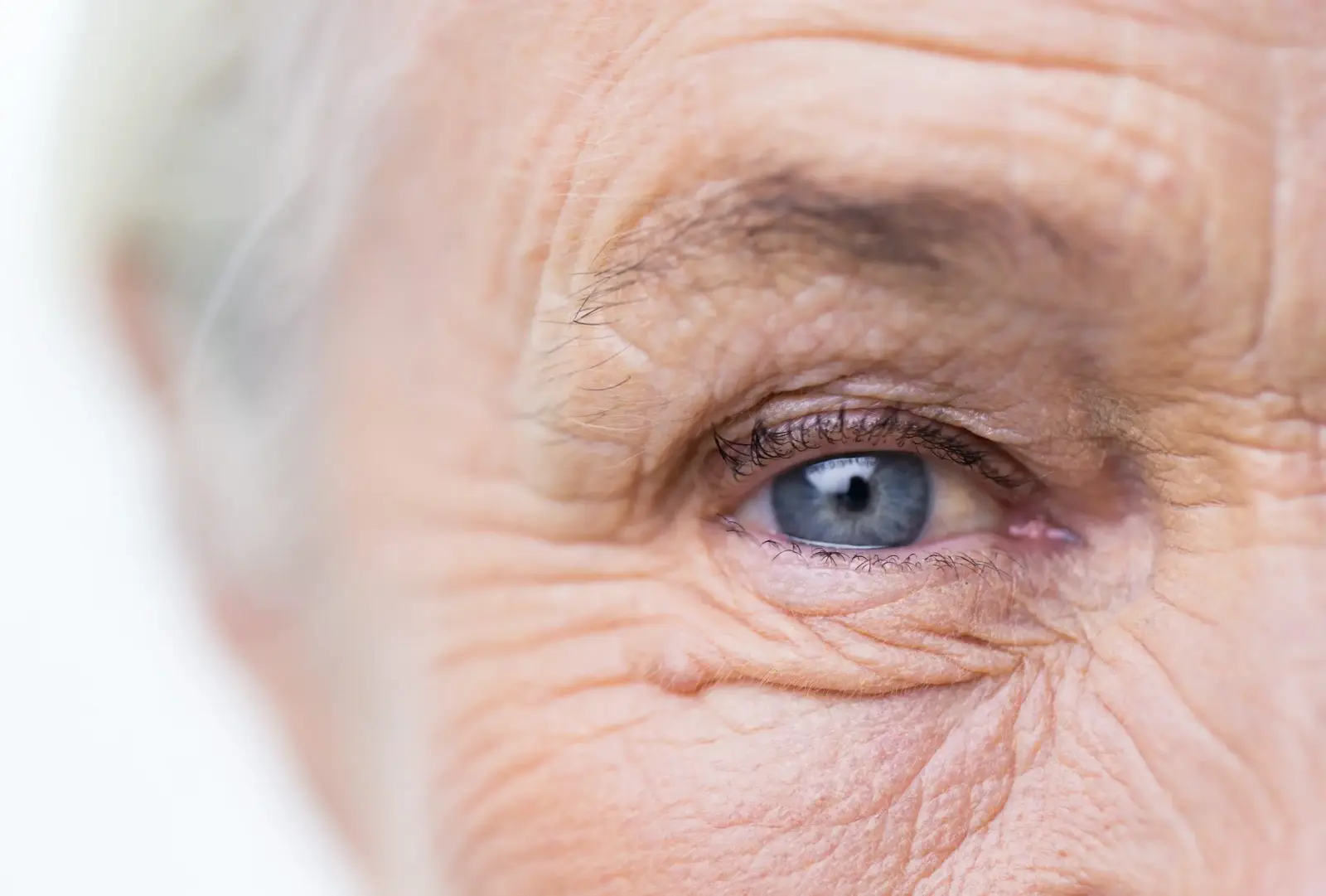 Elder Care in Parker CO