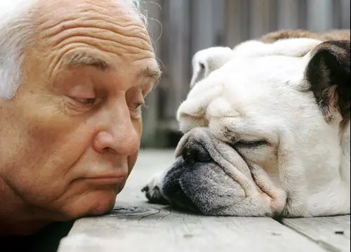 benefits-of-pets-for-seniors-01.jpg