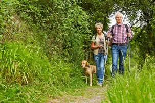 bigstock-happy-senior-couple-walking-wi-81137351.jpg
