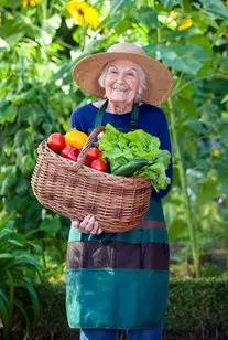 bigstock-old-woman-with-basket-of-veget-86521568.jpg