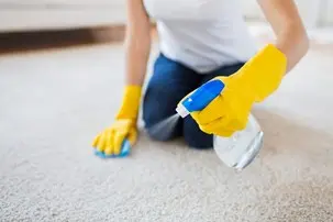 bigstock-people-housework-and-housekee-87357878-1.jpg