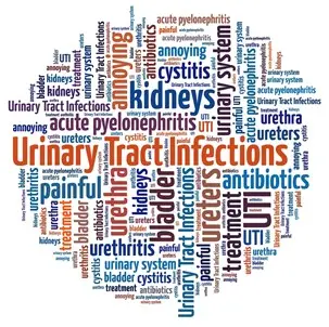 bigstock-urinary-tract-infection-in-wor-66100207.jpg