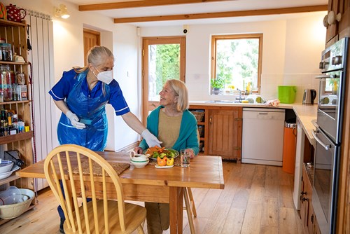 home caregiver serving senior woman