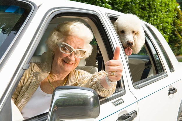 Car Accident Statistics 2019: are your elderly parents still driving? -  SYNERGY HomeCare
