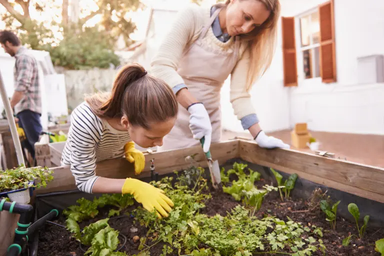 herbgarden-pallets_gettyimages-521001833.jpg