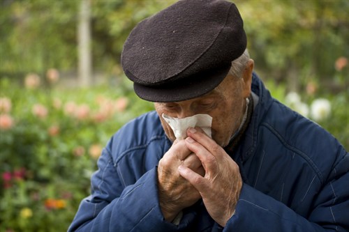 Seasonal Allergies And Seniors