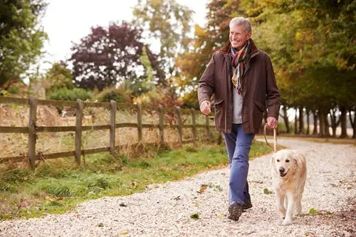 senior-man-walking-dog.jpg