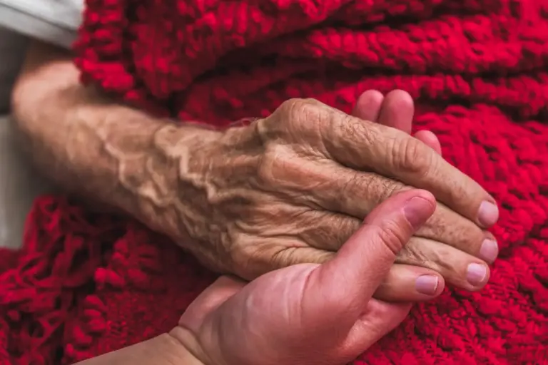 hospice hands