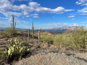 tucson-arizona-city-landscape-tucson-mountains-catalina-mountains